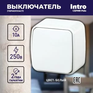 3-101-01 Intro Выключатель, 10А-250В, IP20, ОУ, Polo, белый (18/360/4320)