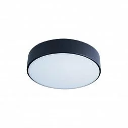 Потолочный светильник LOFT IT Axel 10002/12 Black